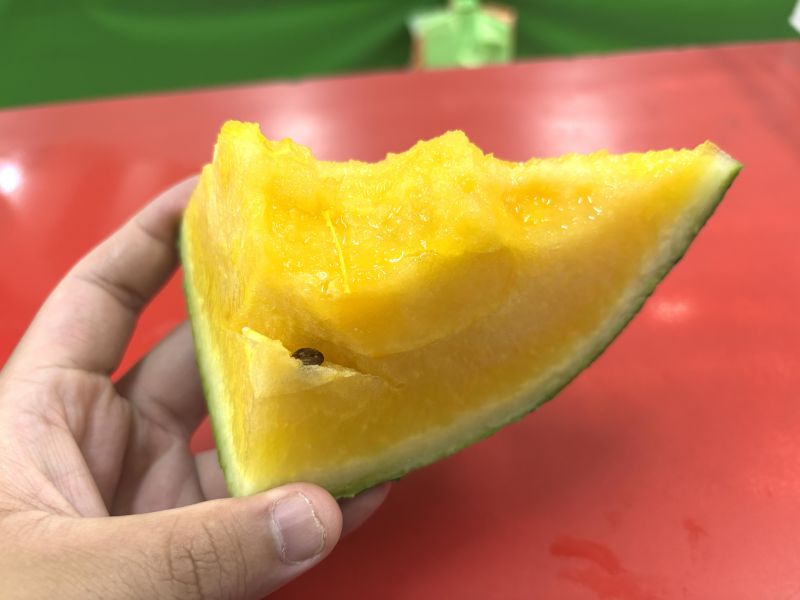 花蓮黃肉小玉西瓜  大果規格 