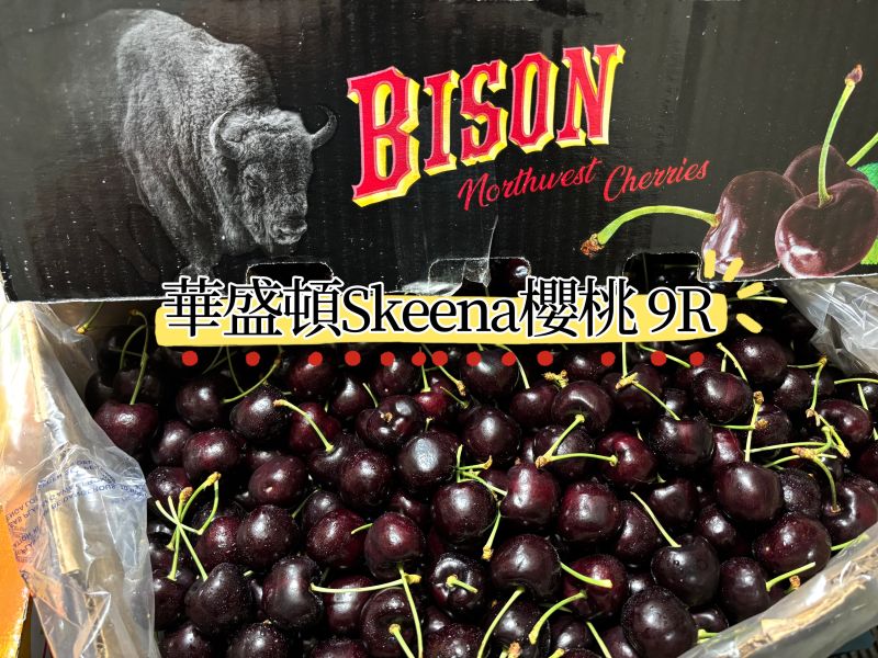 華盛頓西北黑牛牌Skeena櫻桃 硬甜口感 甜度高！9R大果規格 