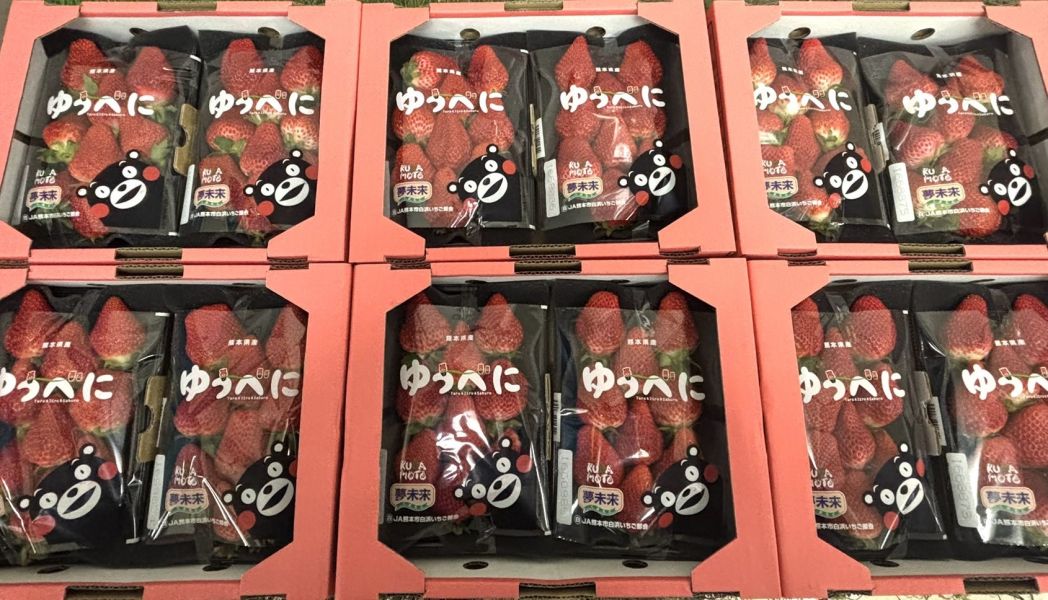 日本空運熊本草莓 季節限定商品！隨機顆數出貨 