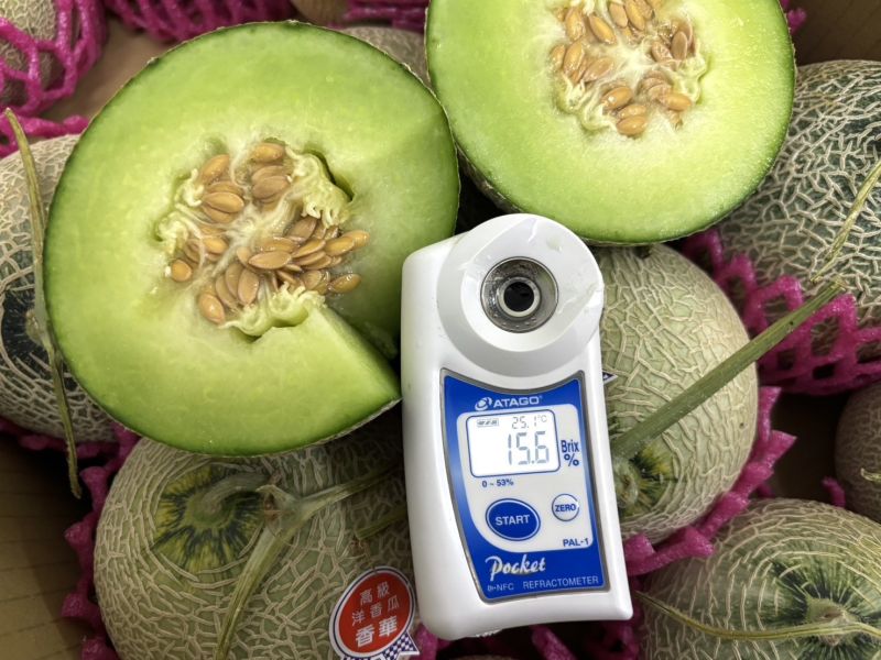 台南學甲香華綠肉哈密瓜 甜好吃！放到微軟甜度更高 