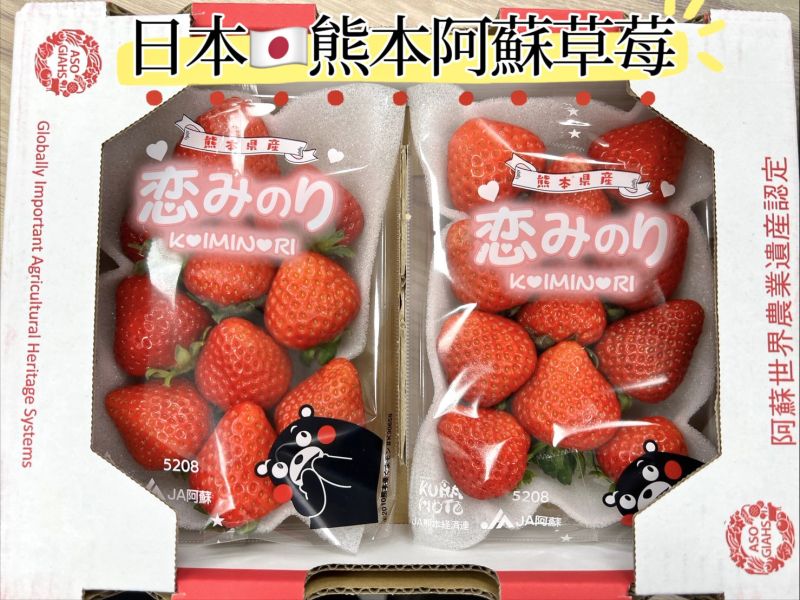 日本熊本草莓 肉質扎實淡淡香氣 隨機顆數出貨 