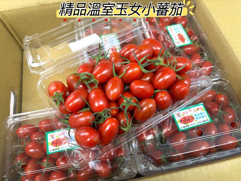 嘉義太保鄉溫室玉女小蕃茄 皮薄甜好吃 