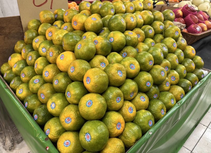 台南關子嶺精選鮮採椪柑 甜好吃不會酸！水分飽滿不會乾乾的 