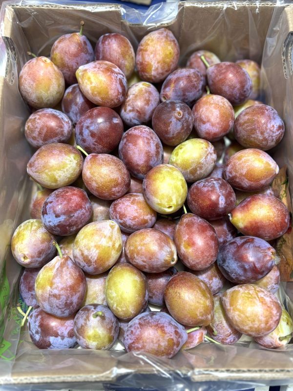 智利精選蜜棗李 直接吃就甜 越軟甜度越高 