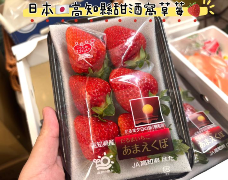 日本高知縣 新品種あまえくぼ 甜酒窩草莓 