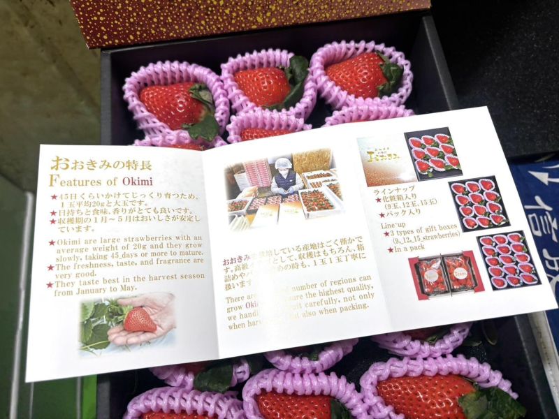 日本高知縣太妃美草莓 精選禮盒款高級品種 