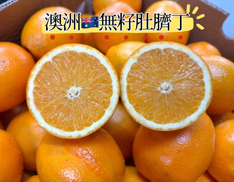 澳洲無籽肚臍丁 甜好吃酸度低 特大果規格 