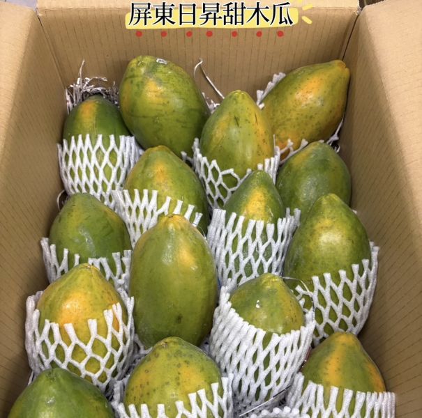 屏東木瓜 常溫放到微微轉黃即可食用 