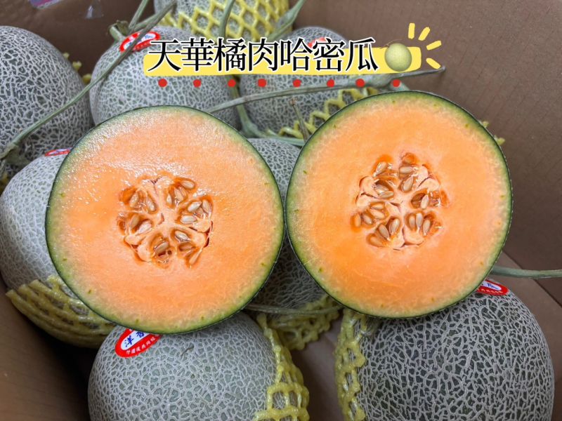 台南後壁七股香/天華橘肉哈密瓜 直接吃就甜 越放甜度越高 軟嫩多汁口感 