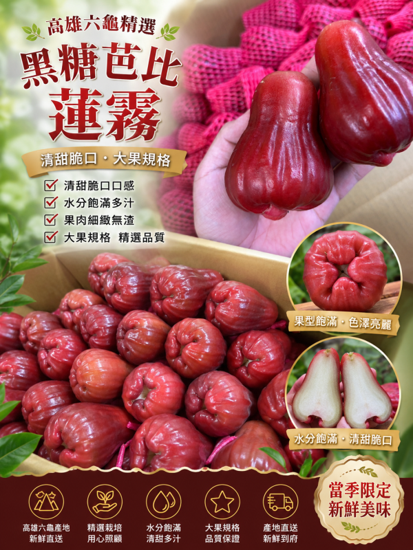 高雄六龜黑糖芭比蓮霧 清脆甜口感 水分飽滿 