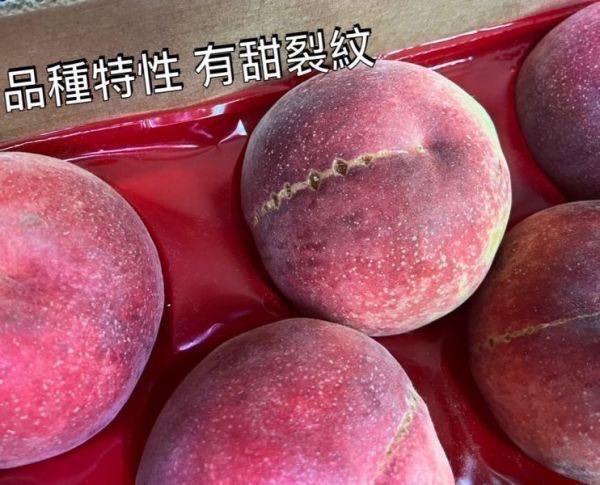 美國空運誼馨園桃仙子水蜜桃 早公主品種 品質穩定 吃軟吃硬都可以 中果規格 