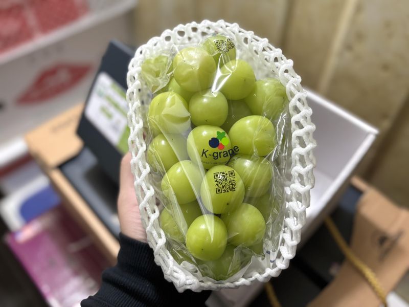 韓國麝香葡萄頂級款 精選禮盒包裝規格 果肉硬甜大顆很好吃！ 