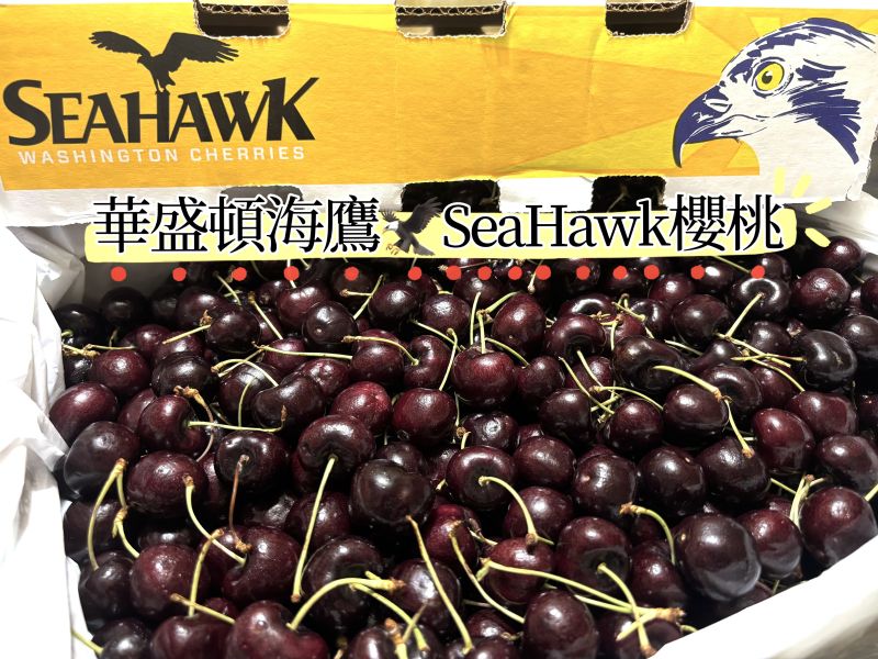 華盛頓空運海鷹SeaHawk櫻桃 Skeena品種硬甜老好吃！實色甜度23度 9.5R規格 