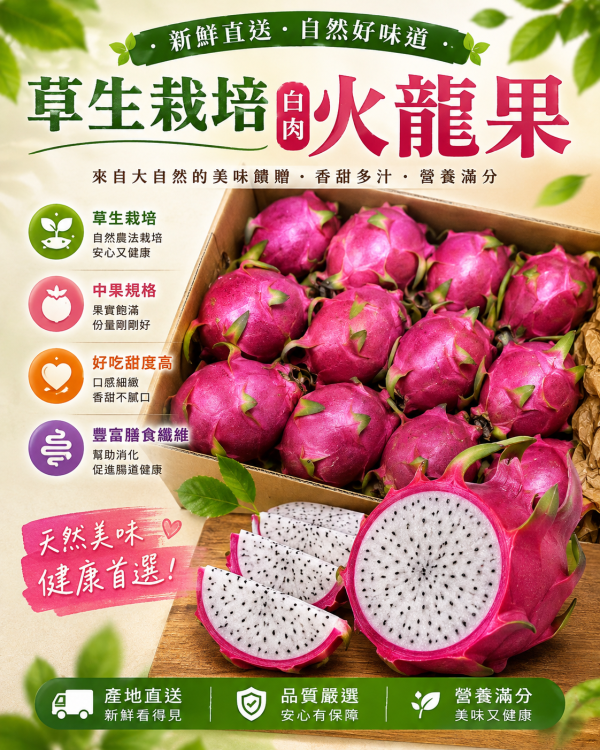 嘉義竹崎白肉火龍果 高甜度款 中果規格 