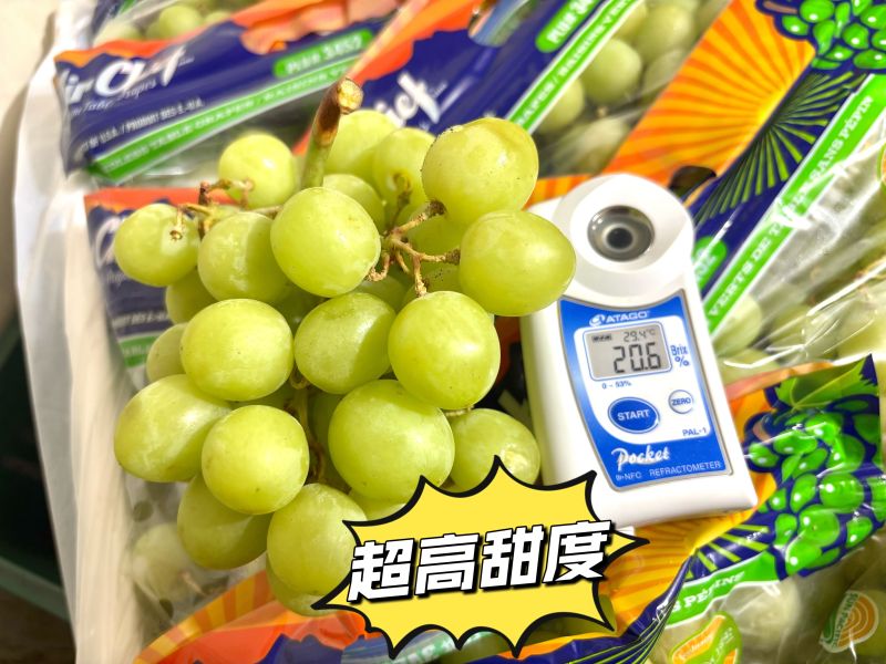美國空運Air chief 秋脆綠無籽葡萄  脆甜口感 新鮮綠梗甜度高！隨機包裝品牌出貨 