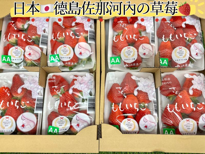 日本德島縣水蜜桃草莓 肉質細緻甜度高 香氣味道明顯 