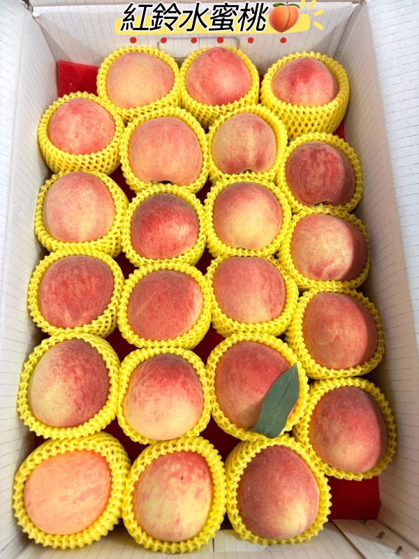 台灣精選紅鈴水蜜桃 可以直接食用 水分很多好吃 放到微軟甜度更高 