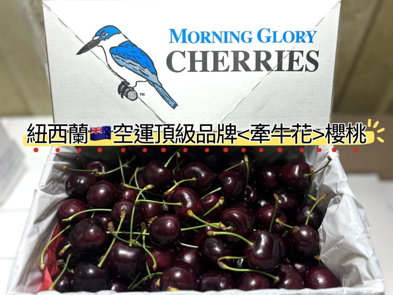 紐西蘭空運《牽牛花》櫻桃 28-30mm規格 Sweetheart品種 