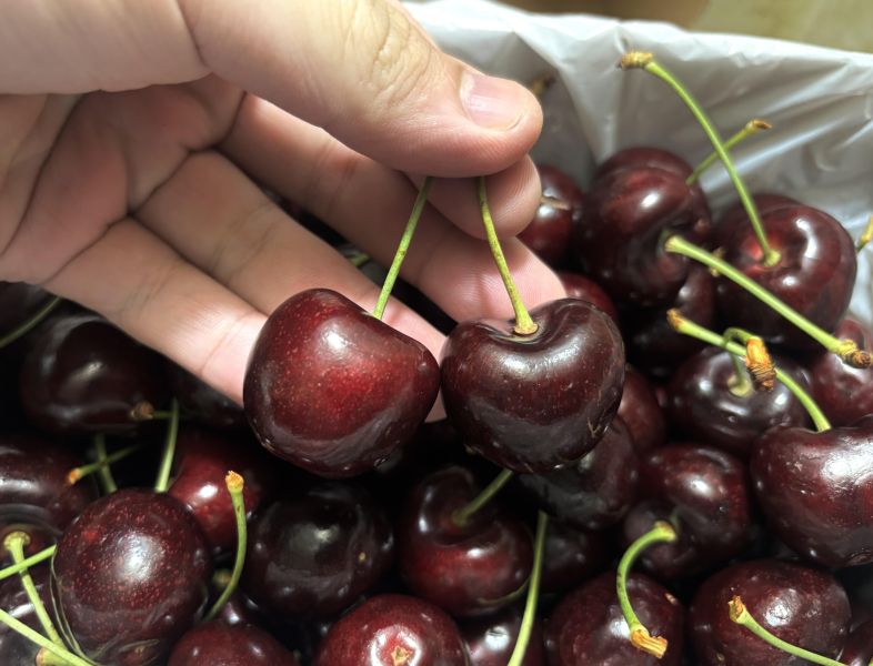 紐西蘭空運《牽牛花》櫻桃 28-30mm規格 Sweetheart品種 