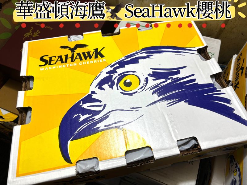 華盛頓空運海鷹SeaHawk櫻桃 Skeena品種硬甜老好吃！實色甜度23度 9.5R規格 