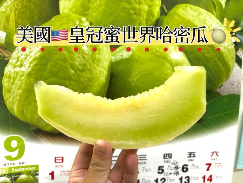 美國空運皇冠牌蜜世界哈密瓜 品質穩定好吃 甜度高 保證不踩雷款 