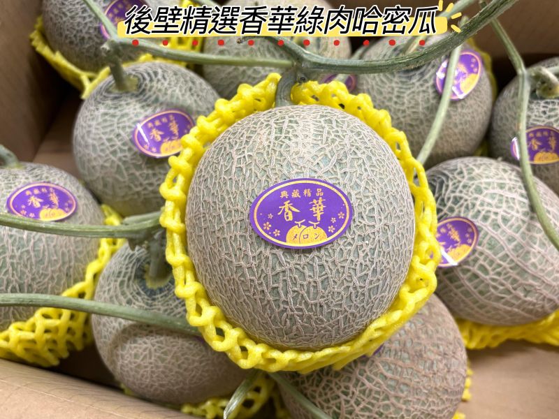 台南後壁精選香華綠肉哈密瓜 放到微軟甜度更高 