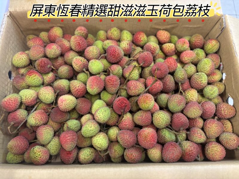 屏東恆春精選玉荷包荔枝 甜度實測20度 好吃帶點微微酸 