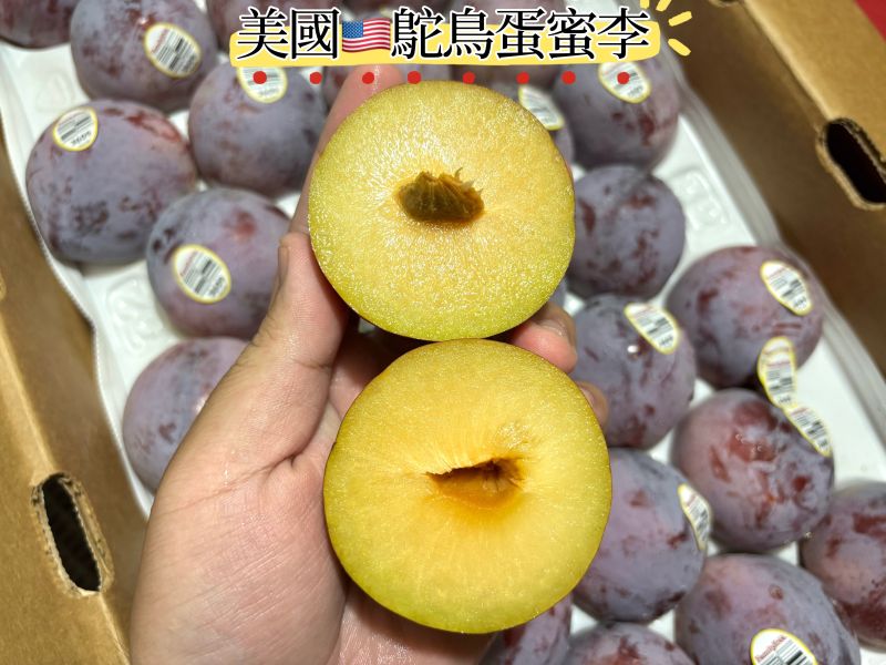 加州鴕鳥蛋蜜李 甜好吃不酸！脆甜口感 