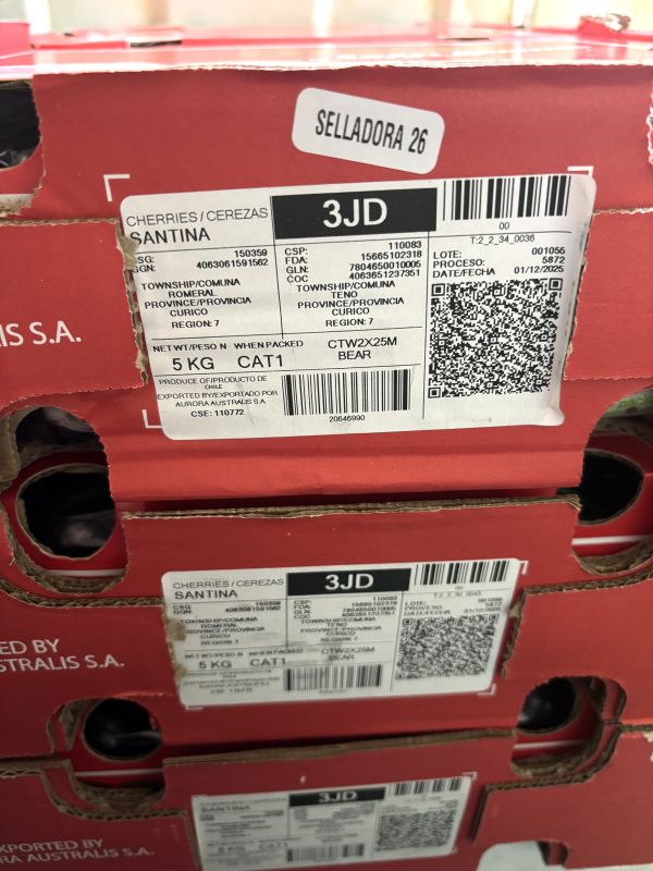 智利精選大品牌白熊櫻桃 Santina品種 硬脆甜好吃CP值超高 海運到貨 
