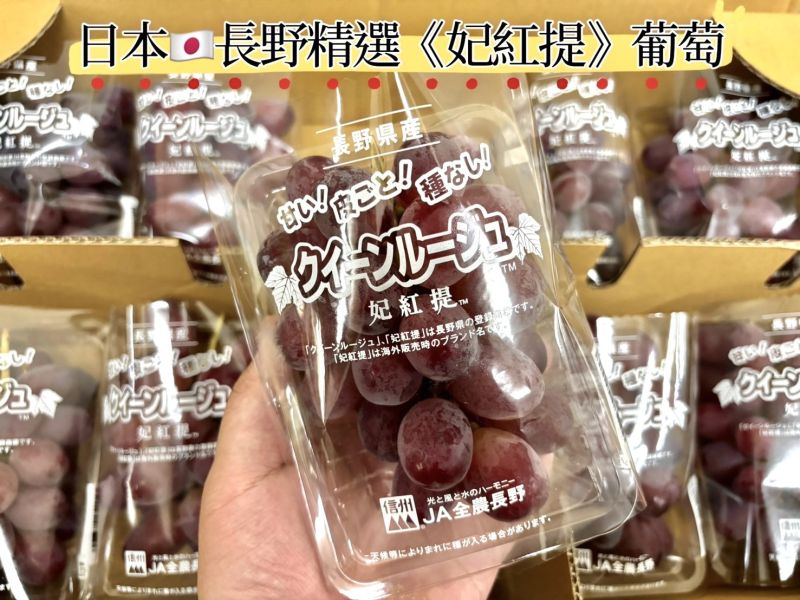 日本空運頂級款 激甜款妃紅提葡萄 甜度實測20度以上超好吃 螞蟻人必買 