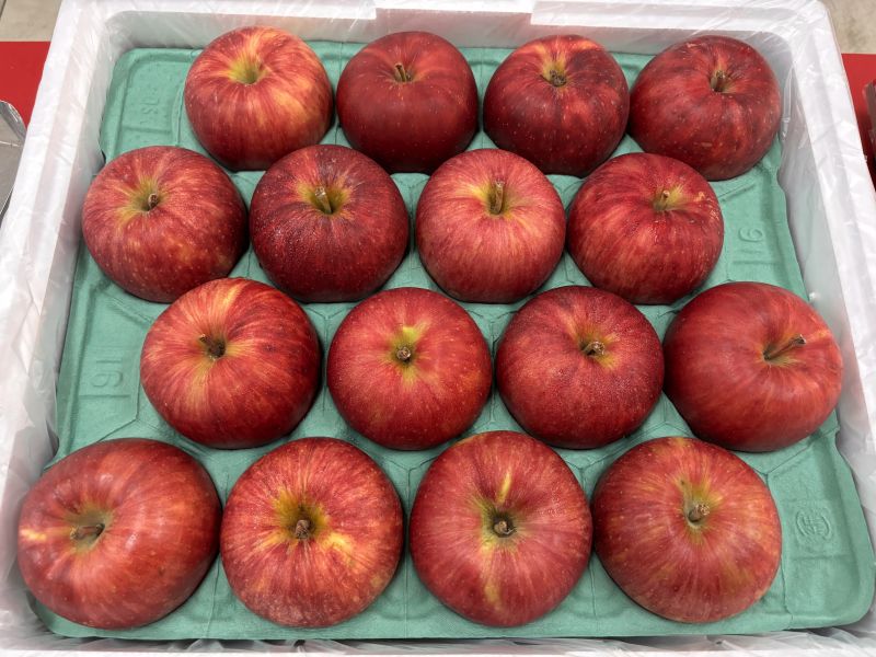 日本空運套袋蜜富士蘋果 新鮮脆甜口感！ 