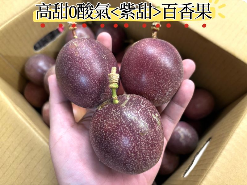 溫室精選紫尊/紫甜百香果 甜度高0酸氣超級好吃！ 