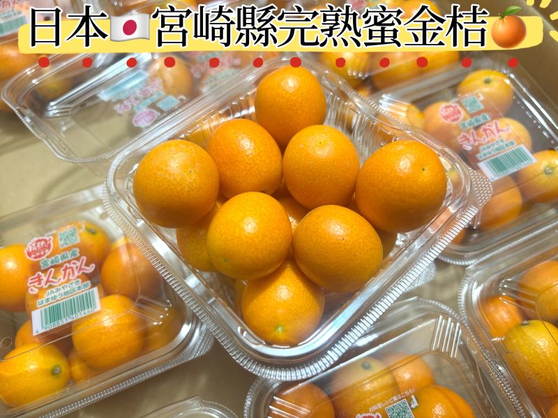日本宮崎縣溫室蜜金桔 甜好吃不酸 可連皮一起食用 