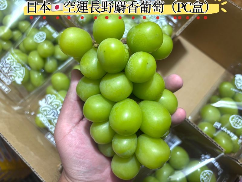日本空運長野縣盒裝麝香葡萄 入口淡淡香氣 甜度高好吃！大果粒規格 