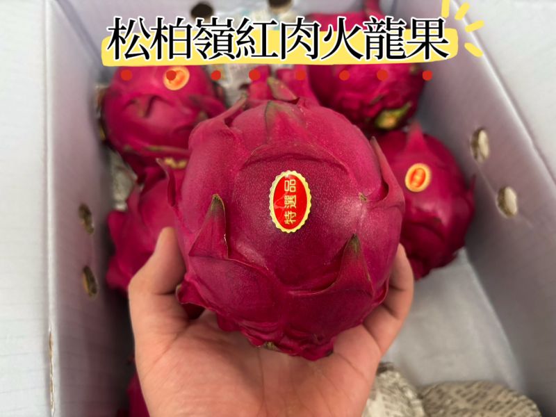 精選南投山坡地紅肉火龍果 中大果規格 甜度很不錯！ 
