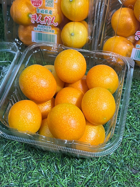 日本宮崎縣溫室蜜金桔 甜好吃不酸 可連皮一起食用 