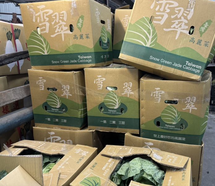 冬季限定 精選高山雪翠高麗菜 大顆規格 