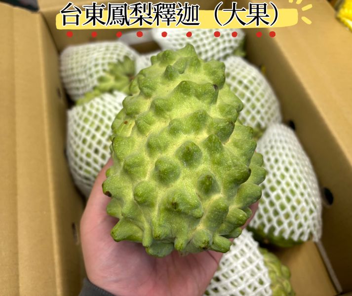 台東鳳梨釋迦 口感香甜Q嫩 螞蟻人必買！ 