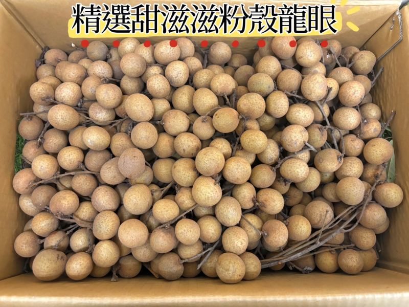 台中太平精選粉殼龍眼 甜度高好吃！ 