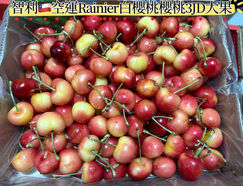 智利空運Rainier白櫻桃 肉質細緻 脆甜口感很好吃 3JD大果規格 實測甜度20度以上 