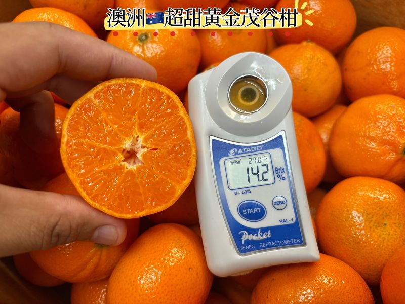 澳洲袋鼠牌黃金蜜茂谷柑 高甜0酸氣 水分飽滿 