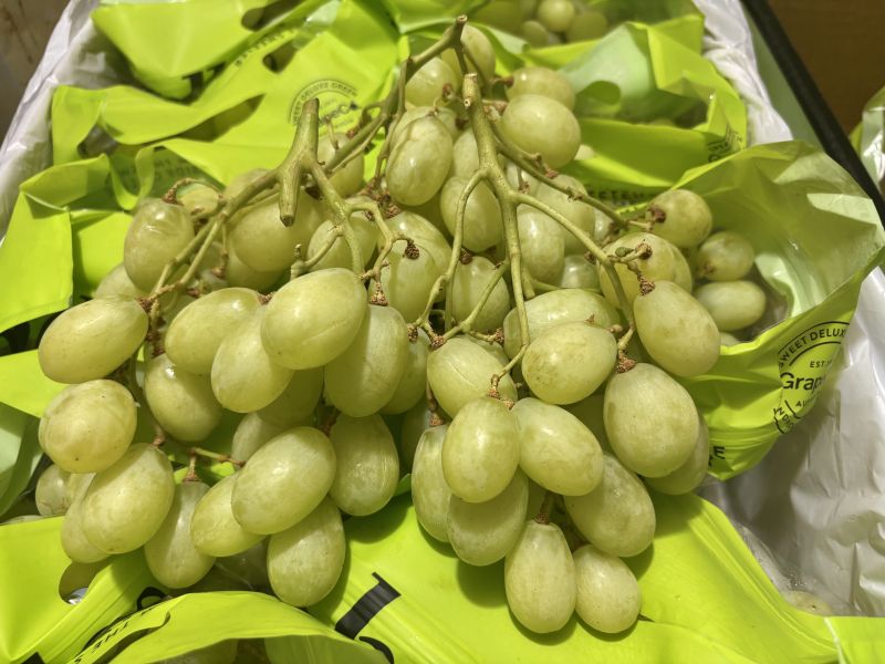 澳洲甜地球葡萄  新鮮綠梗 甜度很不錯 隨機包裝出貨！ 