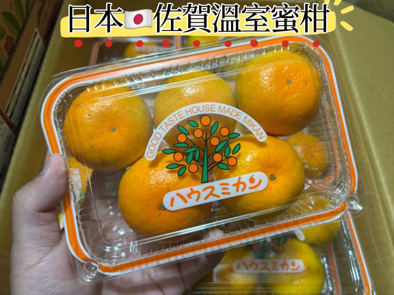 日本佐賀唐津蜜柑PE盒 肉質細緻甜度高！無纖維好吃 