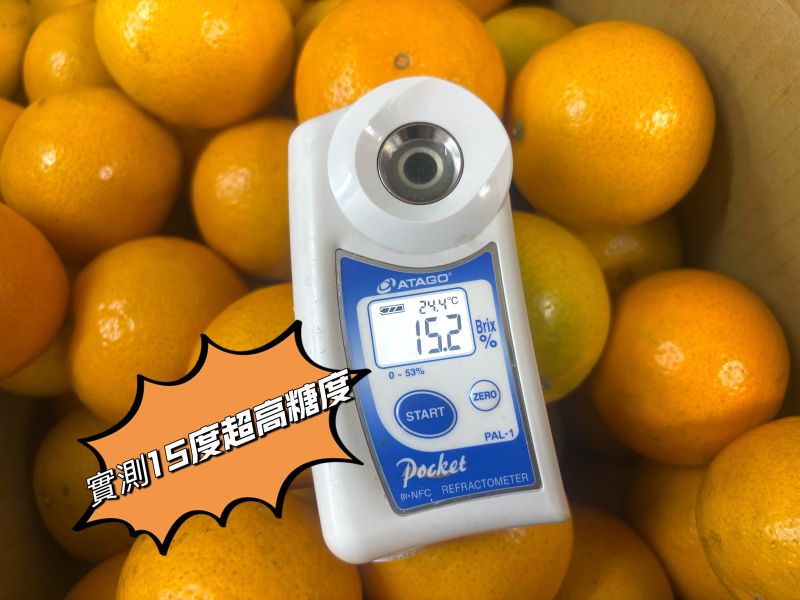 台中東勢精選超強品種 季節限定<帝王柑> 實測甜度15度很好吃 完全0酸氣 水分很飽滿 