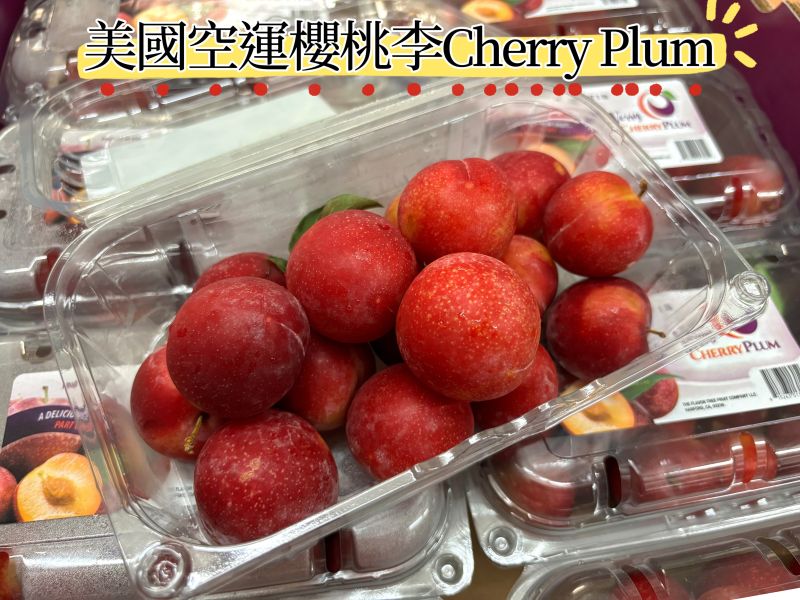美國空運甜滋滋櫻桃李 直接吃就很甜！放到微軟甜度更高更多汁 