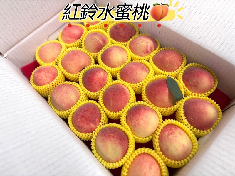 台灣精選紅鈴水蜜桃 可以直接食用 水分很多好吃 放到微軟甜度更高 