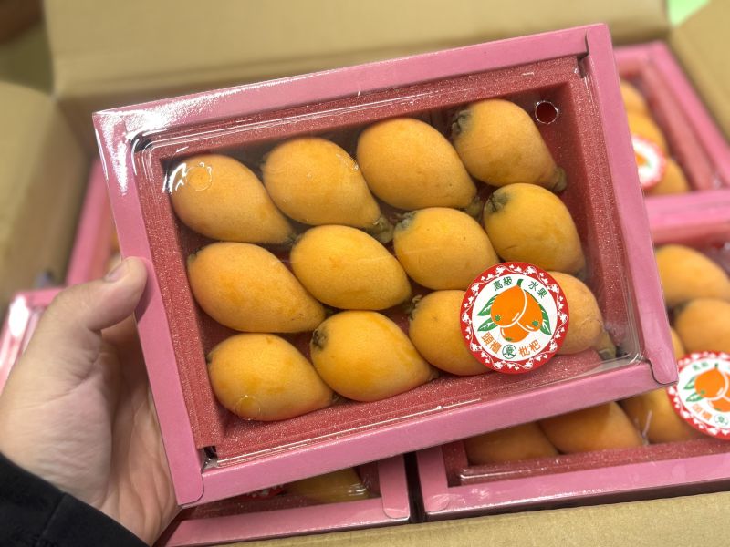 頭櫃精選盒裝枇杷 15入大果規格 甜好吃 