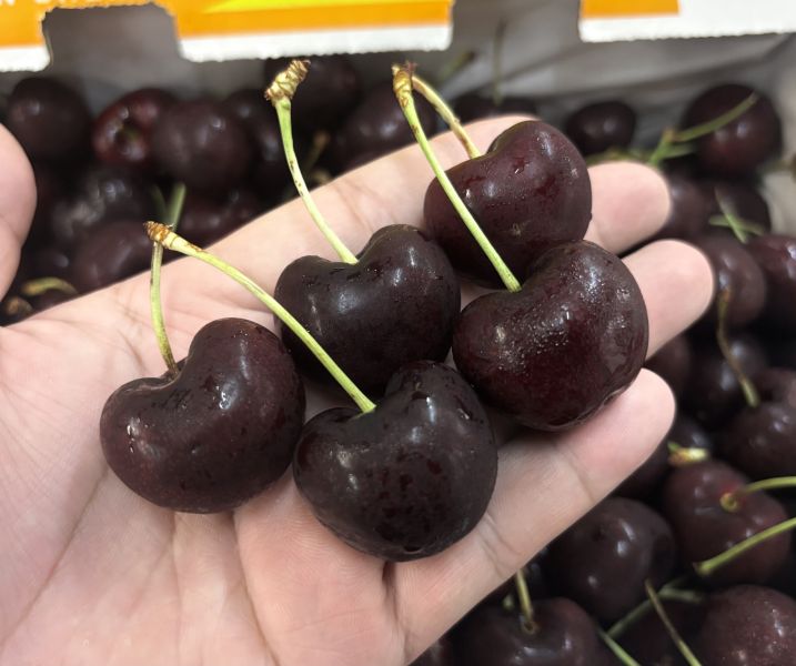 華盛頓空運海鷹SeaHawk櫻桃 經典Lapin品種 精裝箱2.5KG 8.5R特大果 