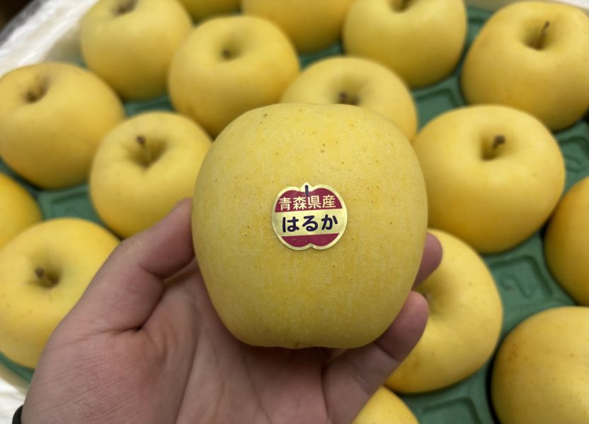 日本蘋果頂級款！季節限定冬戀牛奶蘋果 甜度很高 精選一級品紅特選等級 