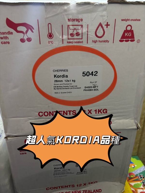 紐西蘭精選空運小農品牌Sarita櫻桃 超級好吃品種Kordia 硬脆甜口感 實測甜度23度以上！ 